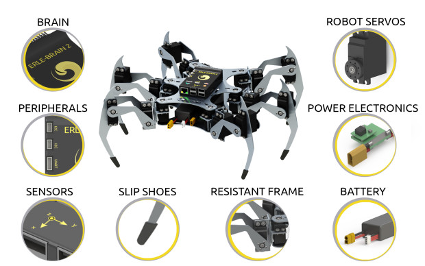 dæmning kød overdrive Erle-Spider, the Ubuntu drone with legs - ROS robotics news