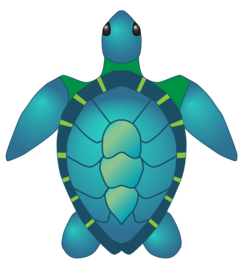 sea-turtle-hires.png